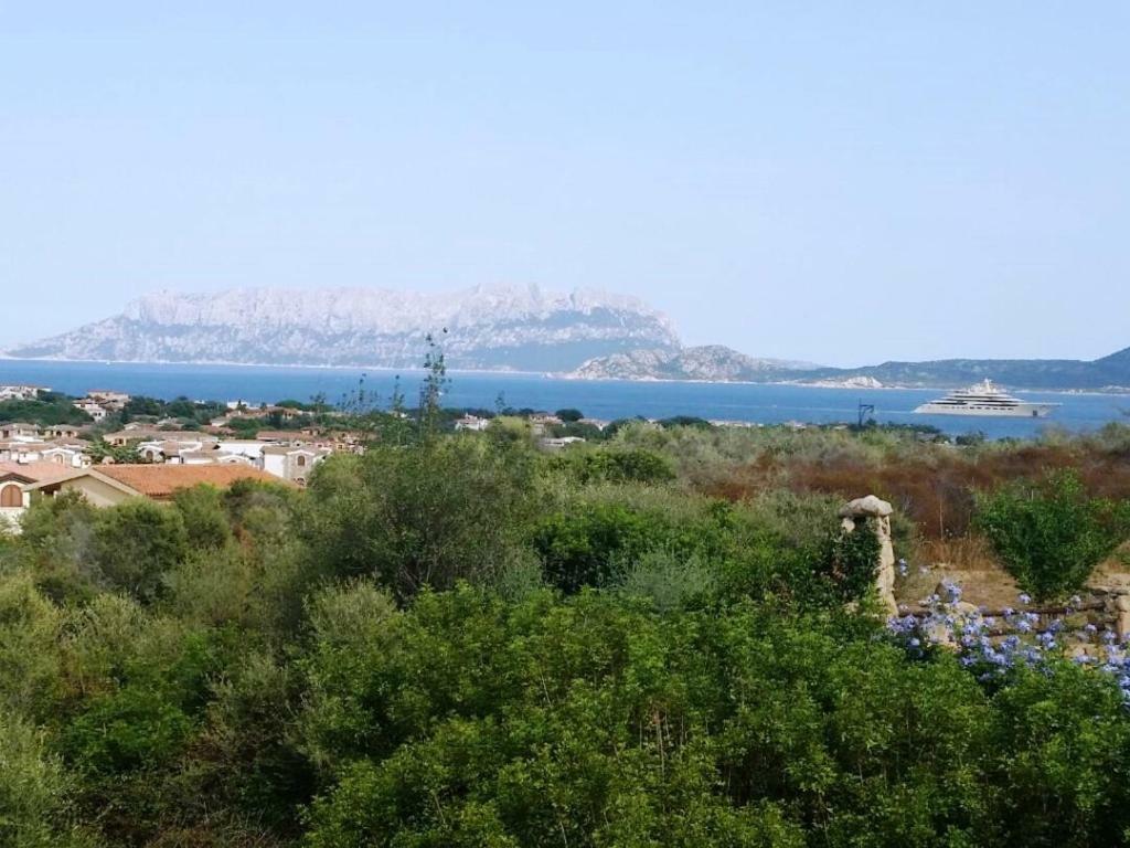 Villa Saba Олбия Екстериор снимка