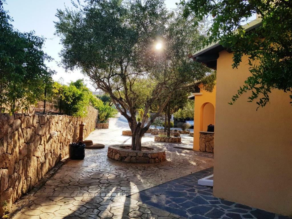 Villa Saba Олбия Екстериор снимка